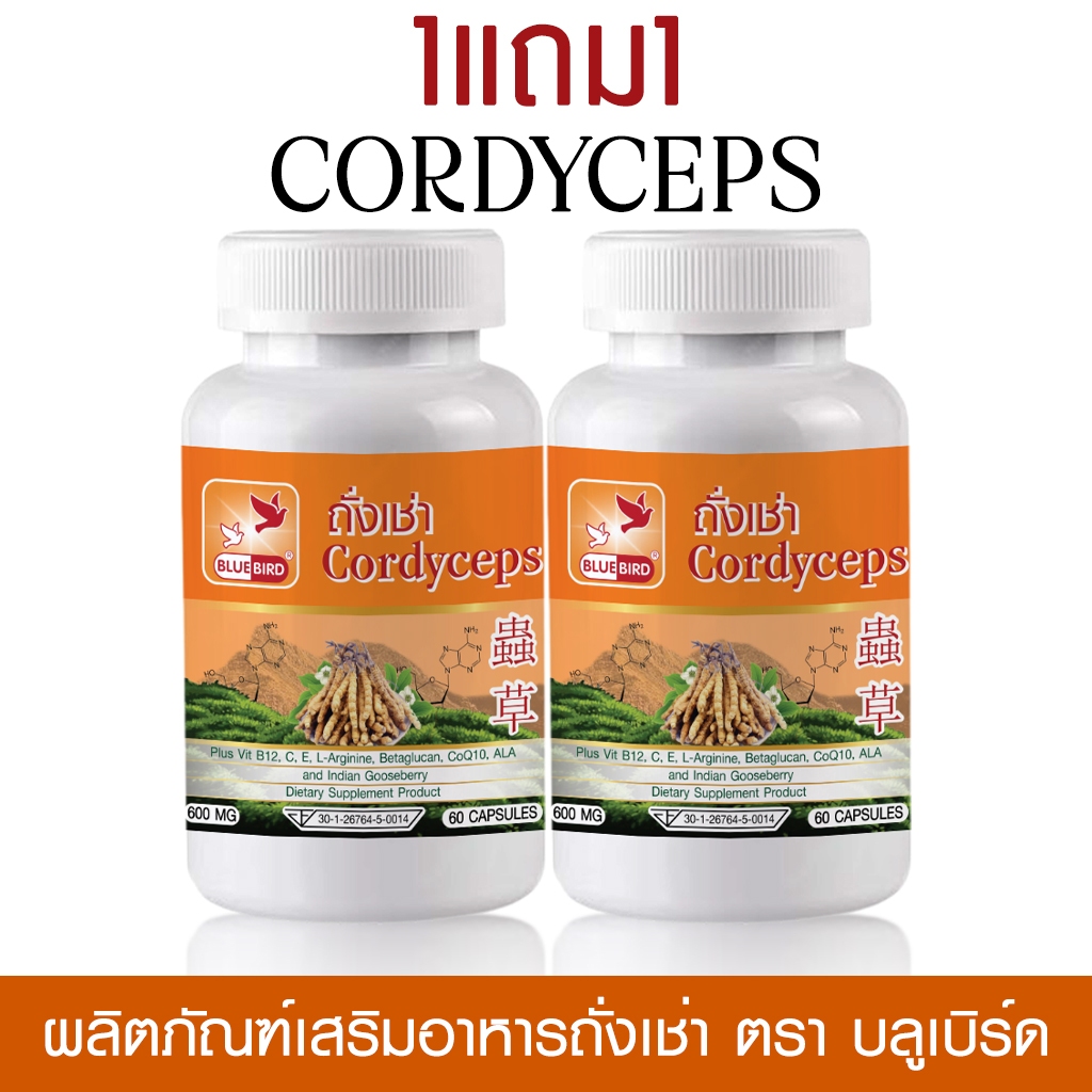 [1แถม1] ถั่งเช่า ตังถั่งเช่า Cordyceps ตรา บลูเบิร์ด ขนาด 600 มิลลิกรัม 60 แคปซูล