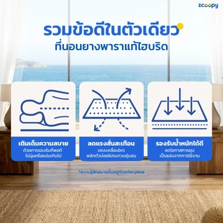 Zcoopy ที่นอนยางพารา พ็อกเก็ตสปริง ผสาน3วัสดุคุณภาพเมมโมรี่โฟมคูลเจล รุ่น Oceana Supreme Classic