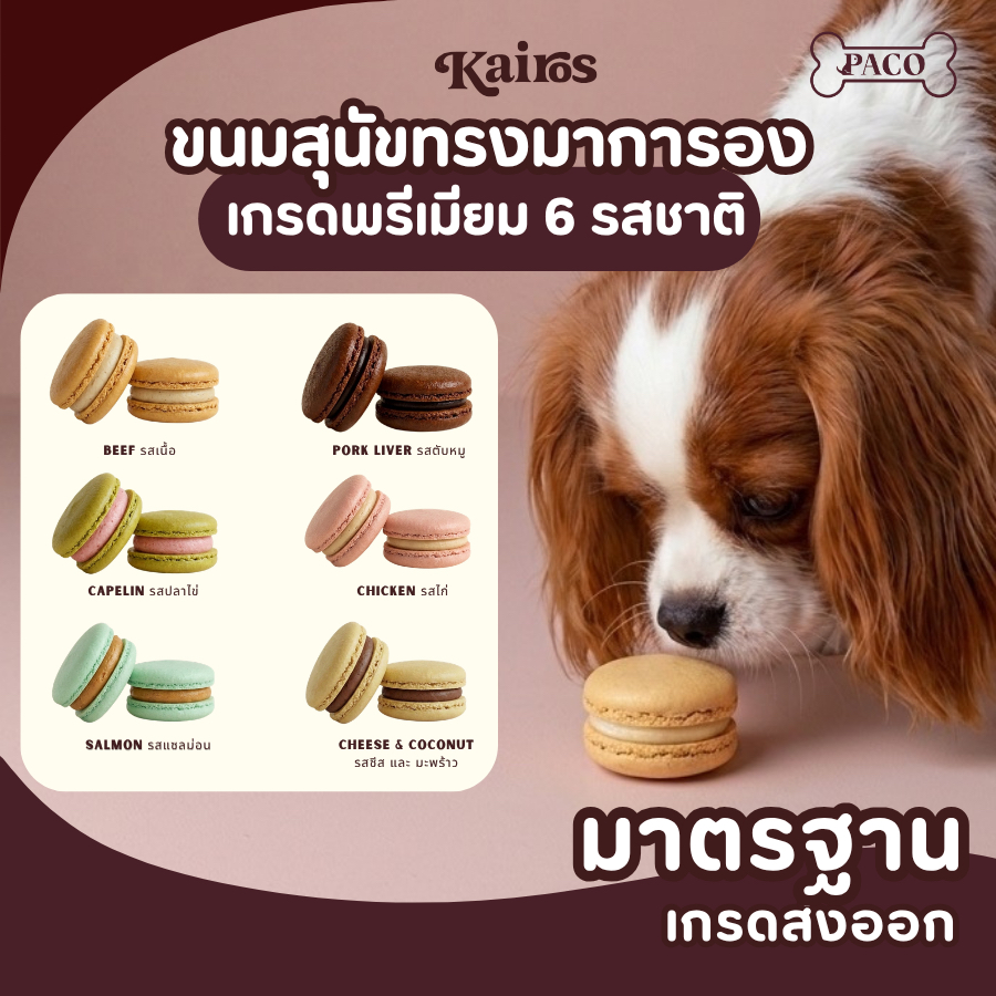 KAIROS ขนมสุนัข Pawcaron มาการอง ขนมหมา (6รสชาติ) ขนมหมาพรีเมียม