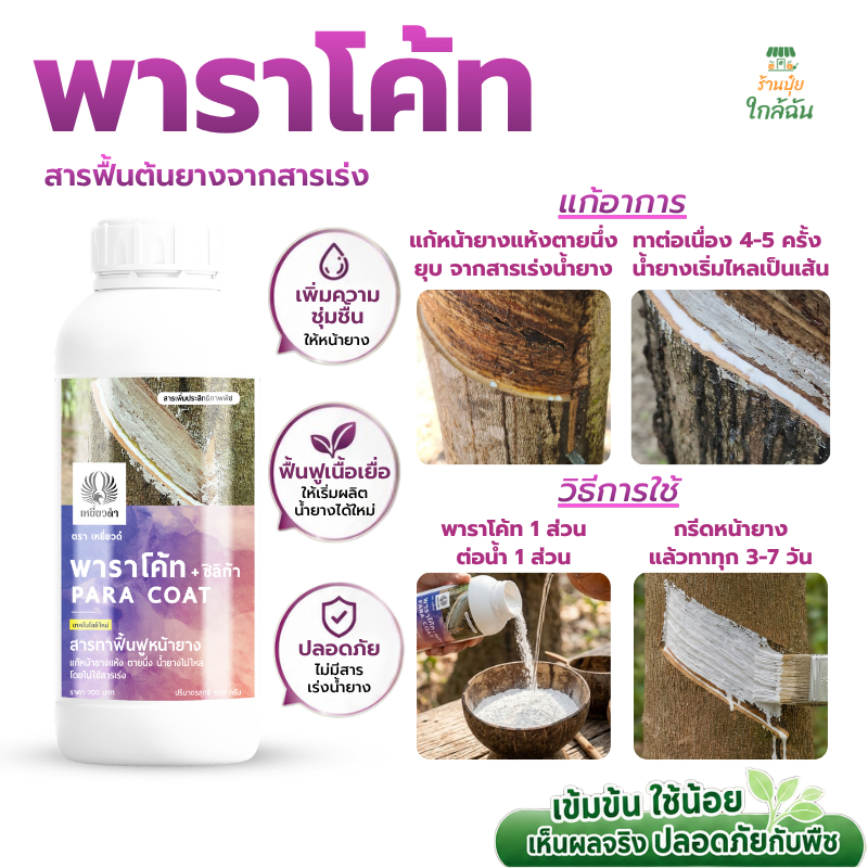 [แก้หน้ายางตายนึ่ง] ทาหน้ายางแห้งจากยาเร่ง ปุ๋ยยาง ฟื้นต้นจากราดำ ราสีชมพู ใช้แทนปูนแดง พาราโค้ท 900g.เหยี่ยวดำ