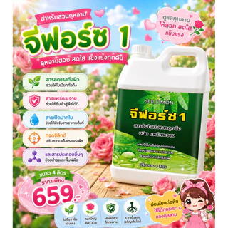 จีฟอร์ซวัน (แกลอน4ลิตร) สารจับใบ เร่งการดูดซึม จับใบ ไม่มีแอลกอฮอล์ ไม่ทำร้ายใบพืช ใช้กับไม้ดอกได้