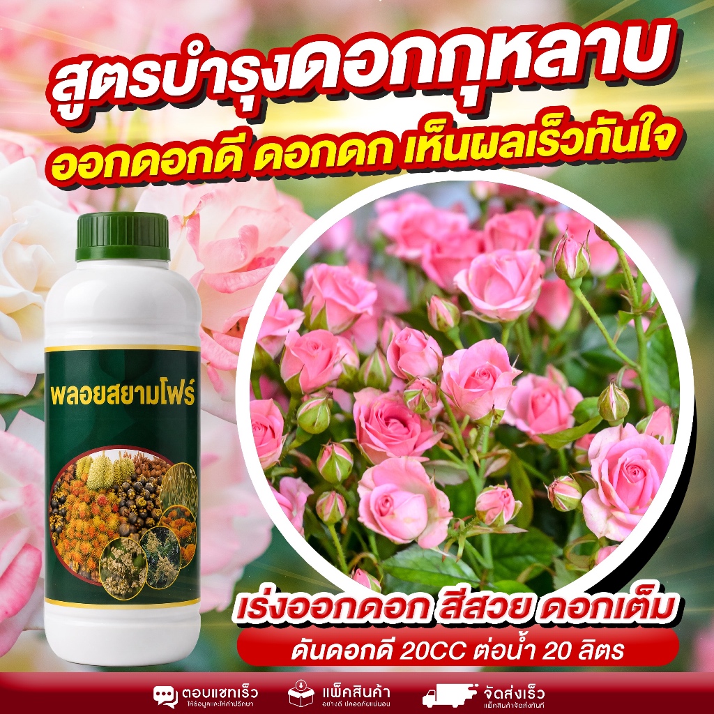 สูตรบำรุงดอกกุหลาบ ดอกดก สีหวาน เห็นผลไวทันใจ ตัวช่วย เร่งดอกให้แน่นทุกช่อเร่งออกดอกไว ดอกเต็มพุ่ม บานสวยพร้อมกันทั้งต้น
