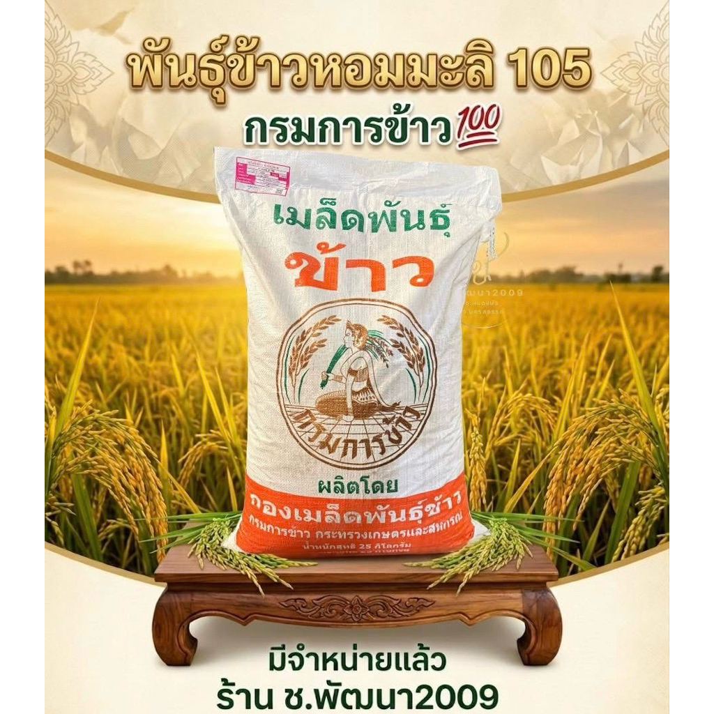 ✅มีของพร้อมส่ง🌾เมล็ดพันธุ์ข้าวหอมมะลิ105 กรมการข้าว ปี2569 ฉลากชมพู(ศูนย์เมล็ดพันธุ์) ชั้นพันธุ์ขยาย 25 กิโลกรัม