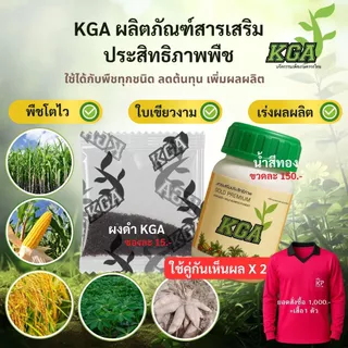 KGA อาหารพืชทางใบ ผงดำ 100 ซอง แถมน้ำสีทอง 1 ขวด