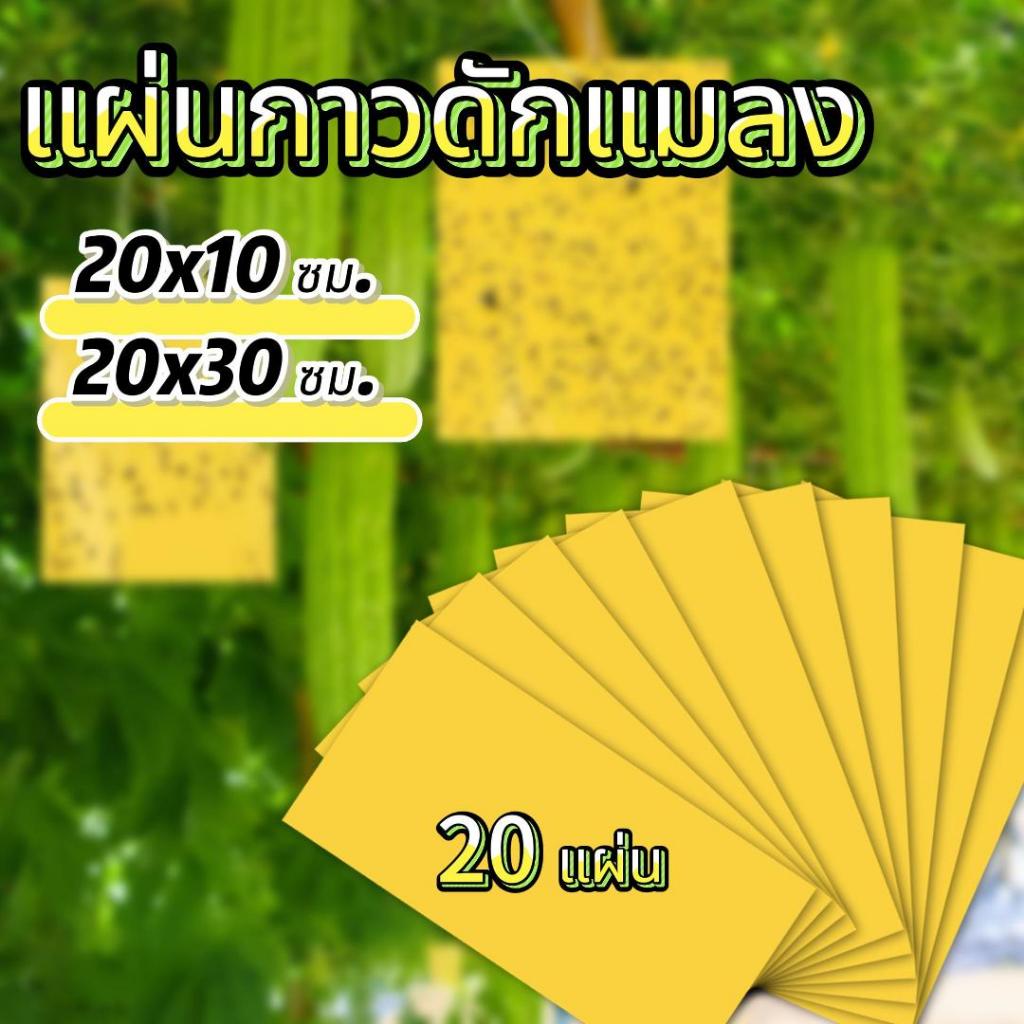 ส่งจากไทย 20 แผ่น แผ่นกาวดักแมลงขนาด ดักแมลงศัตรูพืช กาวเหนียว 2 ด้าน 20x10 ซม.ดักแมลงวันทอง สำหรับสวนผักและผลไม้