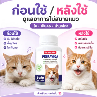 วิตามินเสริมภูมิ แมวไม่สบาย ไอ จาม มีน้ำมูก บำรุงการหายใจ กลับมาแข็งแรง
