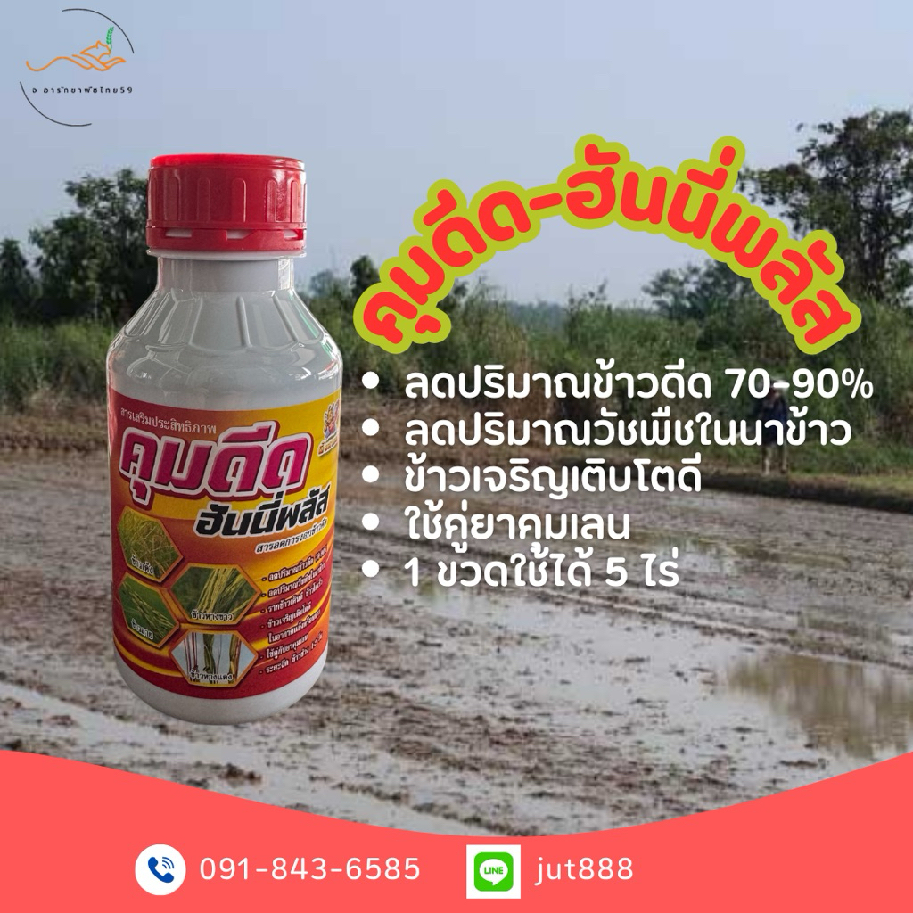 คุมดีด-ฮันนี่พลัส สารลดการงอกข้าวดีด