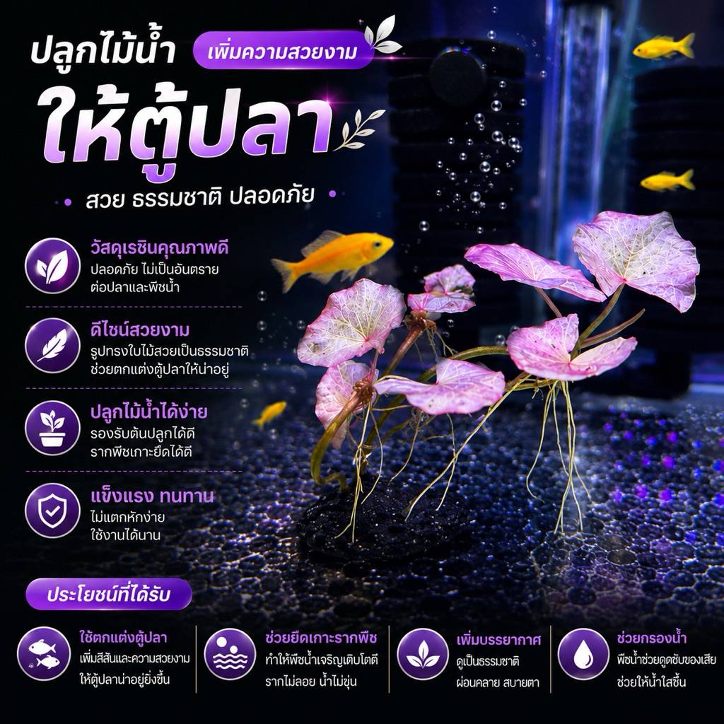 ต้น(บัวชมพู) แคระ💕 โดนแสงเยอะยิ่งชมพู  สวยทน