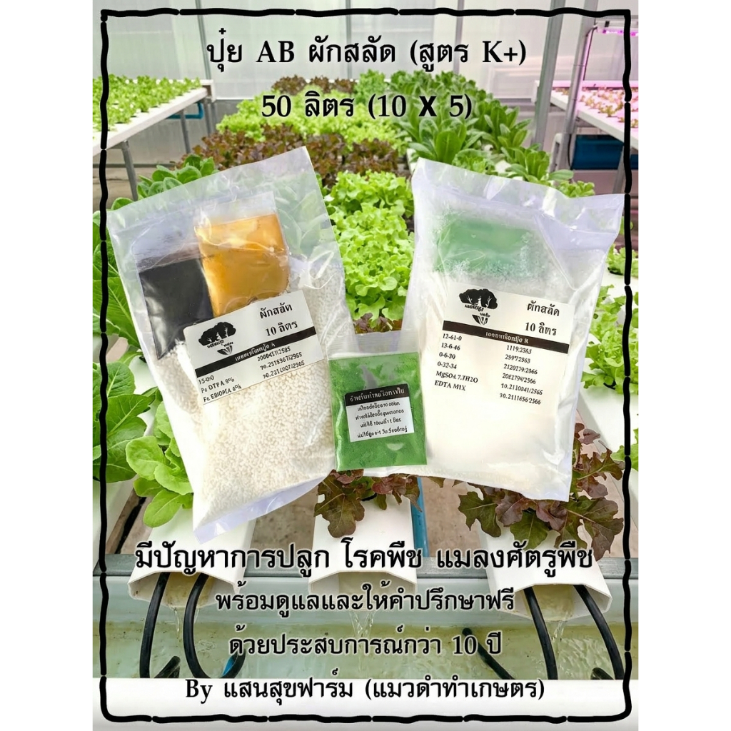 ปุ๋ย AB 50(10x5) ลิตร ผักสลัด สูตรพิเศษ (หลังเก็บขายผักยังคงสดเก็บไว้ได้นานขึ้น)