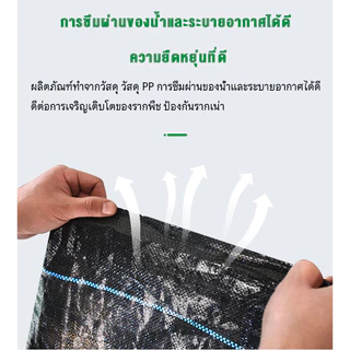 COD ผ้าคลุมดิน (เกรด AAA) 10-100mคลุมดิน ผ้าคลุมหญ้า พลาสติกคลุมวัชพืช พราสติกคลุมดิน ผ้าคลุมวัชพืช น้ำซึมผ่