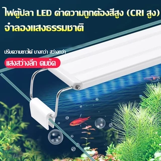 ขาตั้งไฟ LED สำหรับตู้ปลา ไฟ LED พืชน้ำ ประหยัดพลังงาน กันน้ำ กระเด็น เหมาะสำหรับปลาและพืชน้ำ