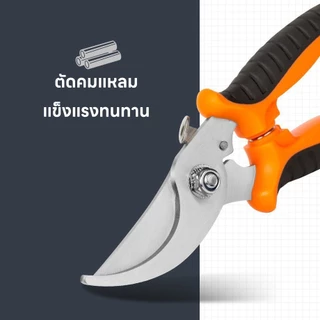 ส่งจากไทย กรรไกรตัดกิ่งไม้ คีมตัดกิ่ง ปากโค้ง แต่งกิ่งสแตนเลส เครื่องมือสวน