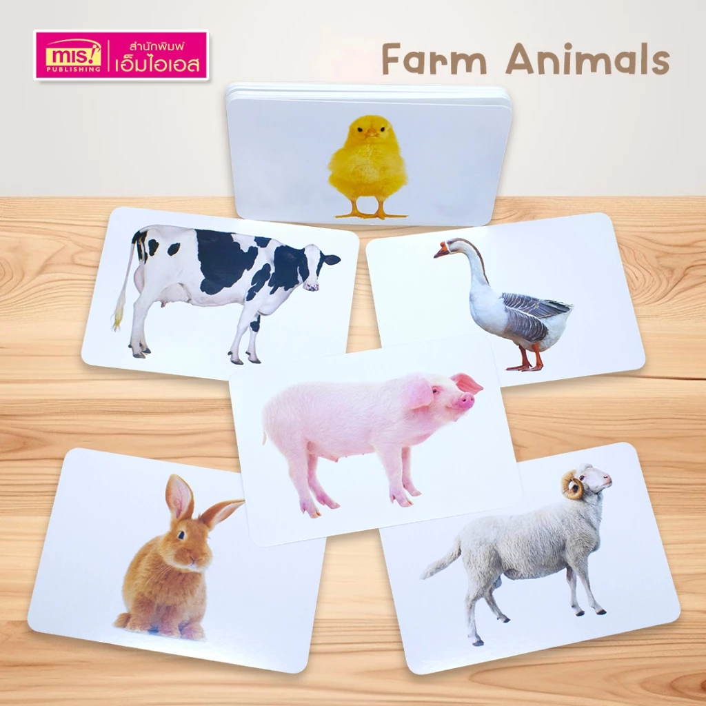 MISBOOK First Words Flash Cards การ์ดคำศัพท์ 3 ภาษา (อังกฤษ-จีน-ไทย) กล่องน้ำเงิน 5 หมวด 125 ใบ thumbnail 4