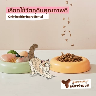 [แพ็คคู่] Tiffany Cat อาหารแมว 1.5 กิโลกรัม x 2 ถุง