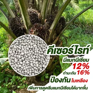 (ยกกระสอบ25kg)แม่ปุ๋ย (กรีเซอร์ไรท์) แมกนีเซียมซัลเฟต โมโนไฮเดรต ชนิดเม็ด ช่วยให้พืชสังเคราะห์แสง