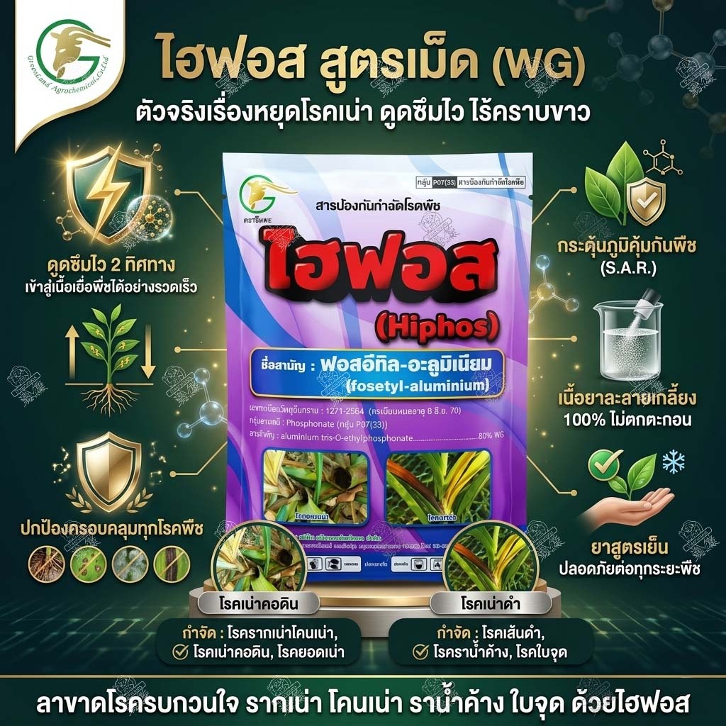 ไฮฟอส 1 กิโลกรัม ฟอสอีทิล อะลูมิเนียม 80% WG สูตรเม็ด แรงกว่า กำจัดโรคพืช โรคเน่า ต้นเน่า โรคใบจุด