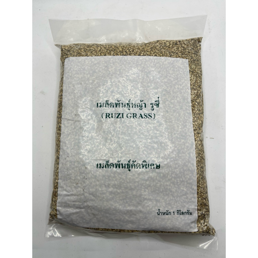 เมล็ดพันธุ์หญ้ารูซี่ ขนาด 1 กิโลกรัม เมล็ดคัดพิเศษ