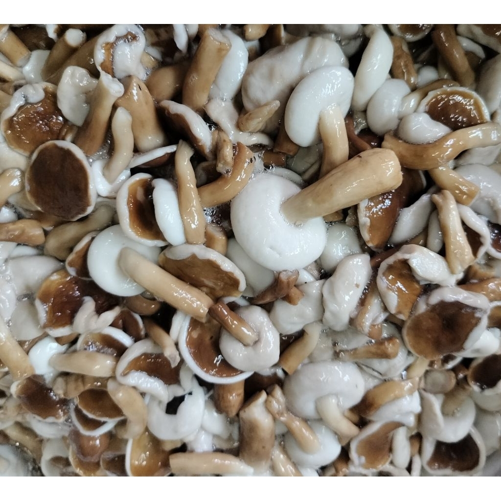 เห็ดผึ้งขมต้มสุก(1kg.)ปี69