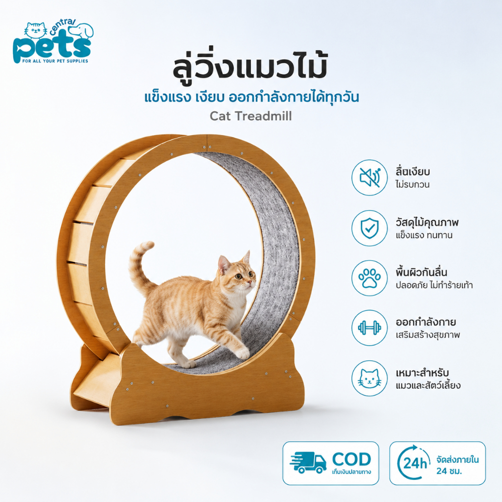 【โปรวันนี้】ลู่วิ่งแมวไม้ ล้อวิ่งแมว ออกกำลังกาย เสียงเบา มีตัวล็อกวงล้อ สำหรับแมวคอนโด Cat Treadmill