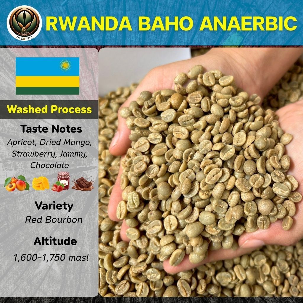 สารกาแฟ Rwanda Baho Anaerbic อราบิก้า/Washed Process สั่งซื้อเกิน 20kg. ทักแชท เมล็ดกาแฟดิบ