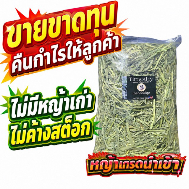 🎉หญ้าเกรดนำเข้า🎉 ทิมโมธี 1กก Timothy คัท1 ใบเยอะ ดอกเยอะ ขายดี