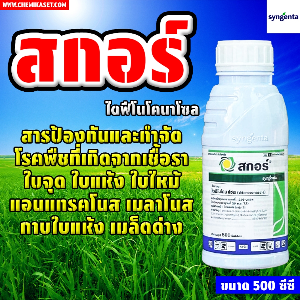 สกอร์ (สารไดฟีโนโคนาโซล 25% EC) ขนาด 500ซีซี ป้องกันโรคพืชที่เกิดจากเชื้อรา