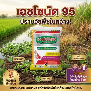 เอชโซนัด 95 ตราหมาแดง ขนาด 1 กก. ใบกว้าง หมาผง 2-4-ดี หมาแดงผง 2,4-ดี โซเดียม ซอลต์
