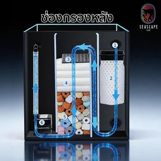 ตู้ปลากรองหลังกระจกใส Mini Stream EcoTank หนา6mm,8mm ตู้ปลาทะเล ตู้ปลาไม้น้ำ0