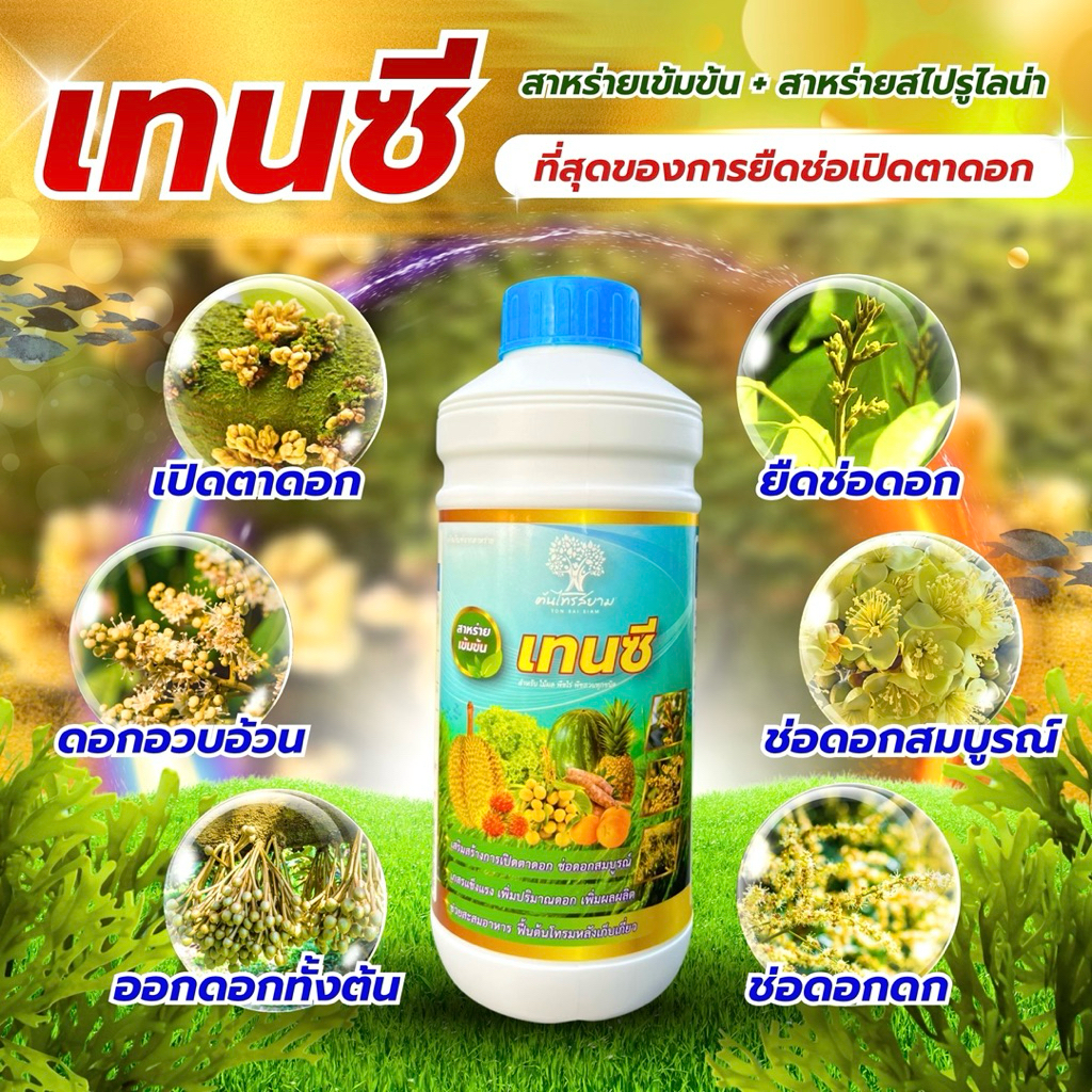 ชุดพิเศษโปร 6 เเถม 1 เทนซี สาหร่ายเข้มข้น ขนาด 1 ลิตร ยืดช่อเปิดตาดอก กระตุ้นการเปิดตาดอก ยืดช่อดอกช่อผล ดอกดก ดอกออกดี