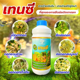 ชุดคู่ดอก เทนซี+เเคลโบมิกซ์ ยืดช่อเปิดตาดอกช่อดอกสมบูรณ์ ดอกดก ขั้วดอกเหนียว ติดดอกดี ดอกเเข็งเเรง ชุด 2 ขวด ขนาด 1 ลิตร