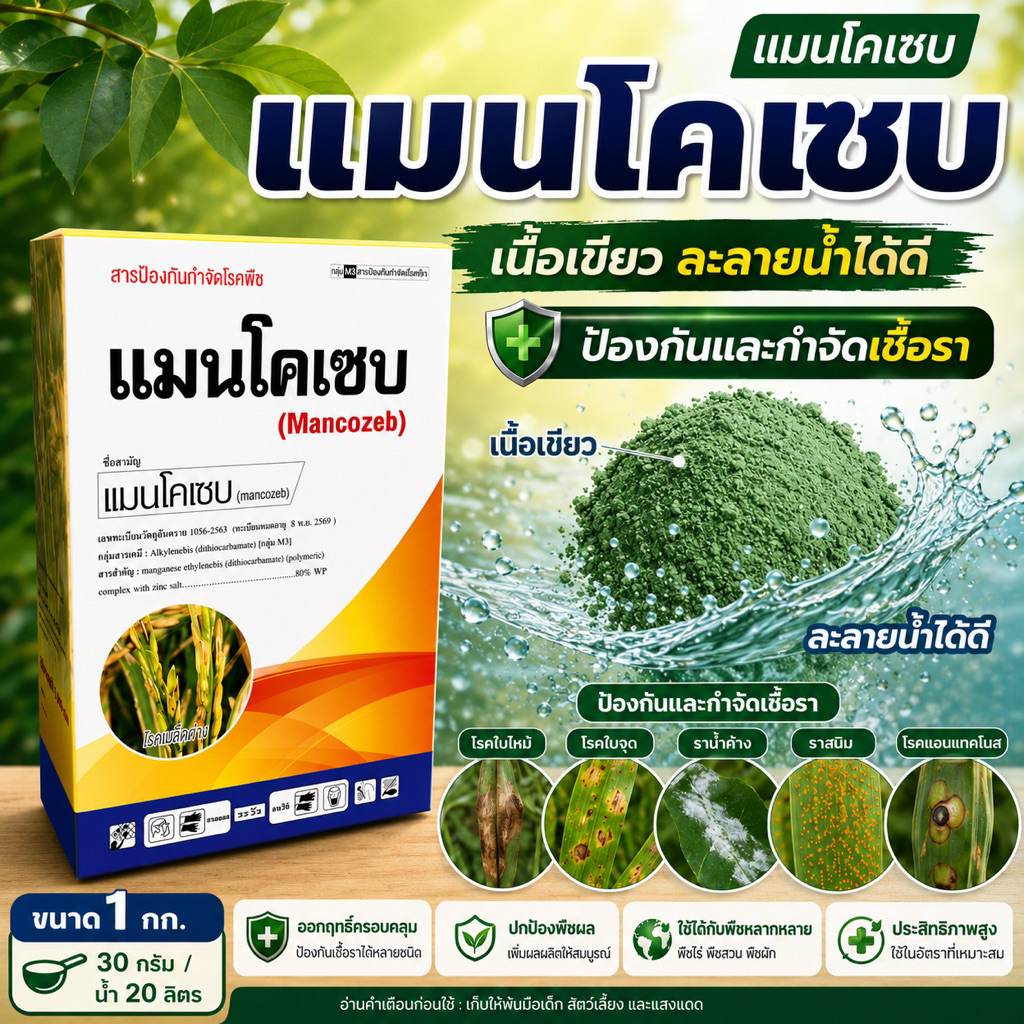 แมนโคเซบ เนื้อเขียว ออกฤทธิ์เร็ว ราน้ำค้าง ราสนิม ใบจุดสีน้ำตาล กุ้งแห้งในพริก โรคหอมเลื้อย โรคใบไหม้ ขนาด 1กก