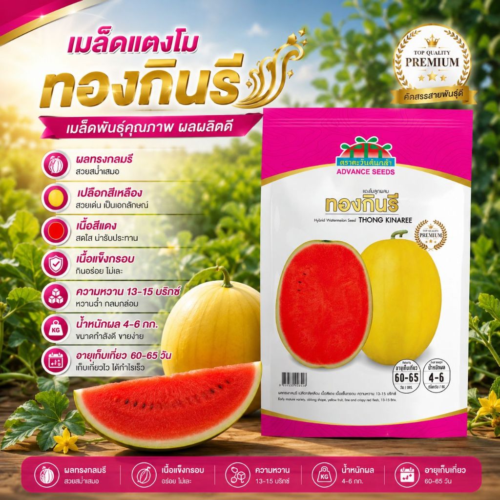เมล็ดพันธุ์แตงโม ทองกินรี ตราตะวันต้นกล้า ขนาด120เมล็ด เมล็ดแตงโมเปลือกสีเหลือง แตงโมกินรี