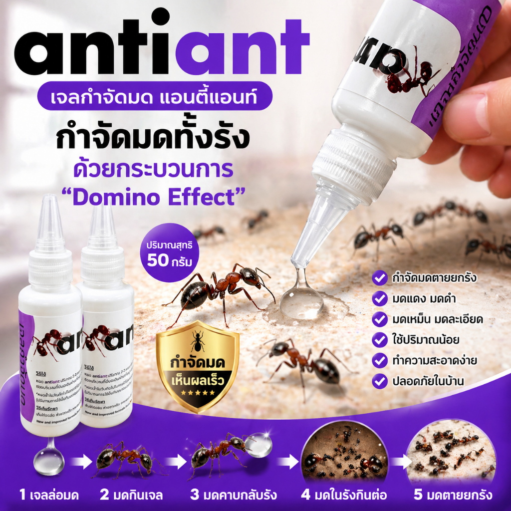 【โปรโมชั่นหน้าร้อน】ซื้อ1แถม1 เจลกำจัดมด Antiant สูตรเจล ขนาด 30 กรัม กำจัดมดตายยกรัง