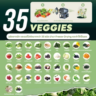 Jones Salad ผงสลัดชงดื่ม ตราโจนส์สลัด แบบกล่อง 10 ซอง (Veggie x Probiotics ผงผัก ผงผักรวม)