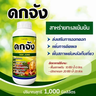 ดกจัง สาหร่ายทะเลสด เปิดตาดอก ลูกดก แก้ปัญหาต้นโทรม โดดเด่นมากๆคือผักกินผล และไม้ผล
