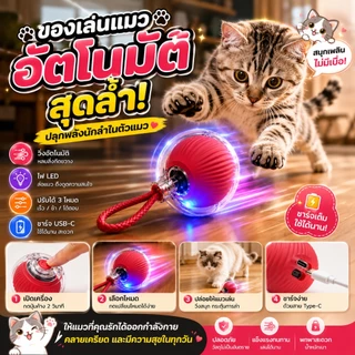 【พร้อมส่ง】ลูกบอลแมวอัจฉริยะ ของเล่นแมวไฟฟ้า วิ่งอัตโนมัติ USB Type-C ลูกบอลแมวอินเตอร์แอคทีฟ แมวเล่นเองได้ทั้งวัน
