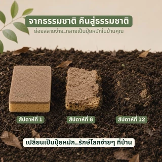 Mind the Wrap ฟองน้ำรักษ์โลกธรรมชาติ 100% ฟองน้ำล้างจานเซลลูโลส ไร้ไมโครพลาสติก [บรรจุ 6 ชิ้น]