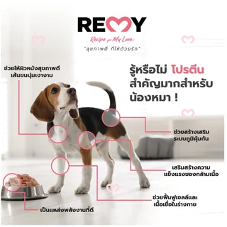 [ กล่อง 24 ซอง ] Remy Dog ขนมสุนัขเลีย เรมี่ มูสแซลมอน มูสทูน่า ขนาด 15gx24 ซอง ขนมสุนัข เพื่อสุขภาพ