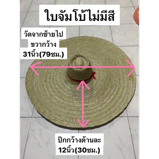 หมวกสานใบตาล จัมโบ้ ใบใหญ่ วัดจากซ้ายไปขวา กว้าง 31 นิ้ว (79เซ็นติเมตร) ปีกกว้างด้านละ 12 นิ้ว (30เซ็นติเมตร)