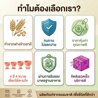 ชุดจานชามฟางข้าวสาลี มินิมอล พร้อมแก้ว เข้าไมโครเวฟได้ น้ำหนักเบา ไม่แตกง่าย ปลอดภัย ใช้ในบ้าน