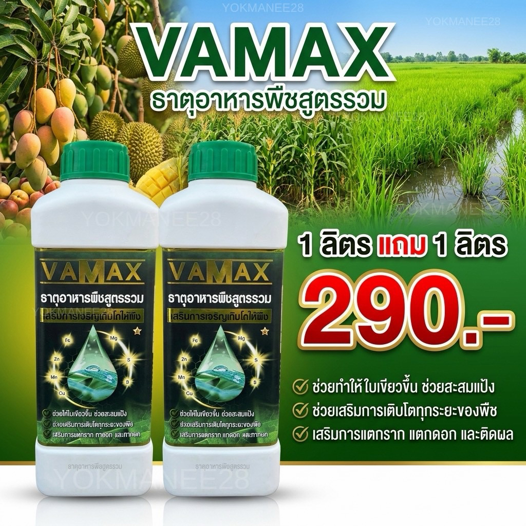 (V2) VAMAX ธาตุอาหารเสริมรวม 1 ลิตร แถม 1 ลิตร