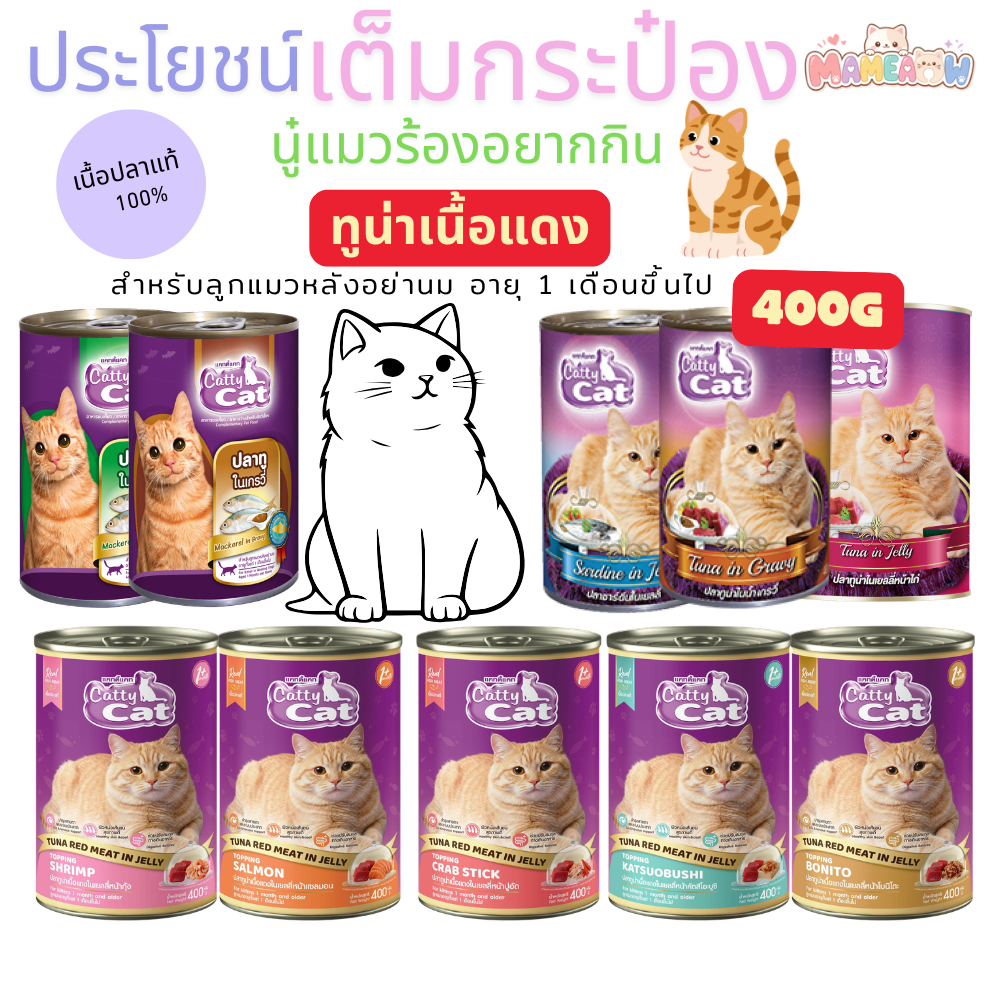 Cattycat อาหารแมว แคทตี้แคท สำหรับแมวหลังอย่านม อายุ 1 เดือน ขึ้นไป 400g