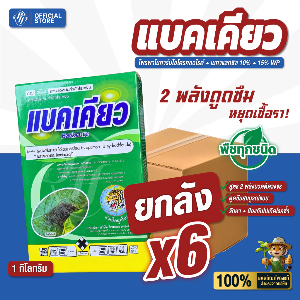 แบคเคียว [ยกลัง 6 กล่องX1 กิโลกรัม] ล้อตใหม่ โพรพาโมคาร์บ + เมทาแลกซิล สูตรดูดซึม เก่งเชื้อราใต้ดิน รากเน่า โคนเน่า