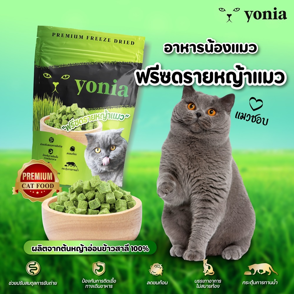 หญ้าแมวฟรีซดราย Premium (Yonia) Freeze Dried ฟรีซดรายหญ้าแมว ขนมแมว 30g