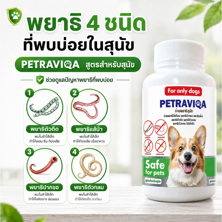 Virapet ปัญหาพยาธิสุนัข ครอบคลุม 6 ชนิด ถ่ายพยาธิ หมาผอม เบื่ออาหาร เสริมภูมิ ขนสวย แข็งแรง