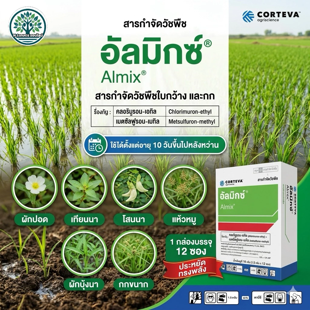 อัลมิกซ์ กำจัดวัชพืชใบกว้างและกกในนาข้าว ใช้ได้หลังหวาน 10 วันขึ้นไป ขนาด1กล่อง18กรัม1กล่องบรรจุ12ซองใช้ได้3-4ไร่