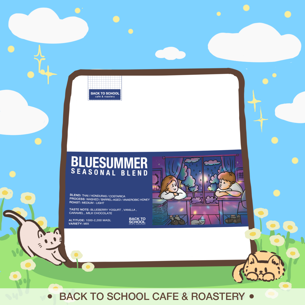 เมล็ดกาแฟคั่ว BLUE SUMMER BLEND ( Thai | Honduras | Costarica ) <คั่วกลาง - อ่อน>