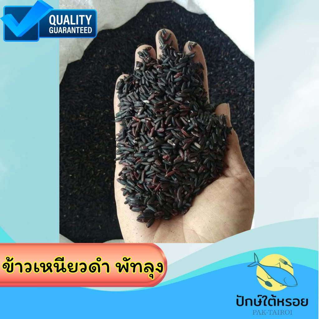 ข้าวเหนียวดำใต้ พัทลุง  ข้าวใหม่ ดำ นุ่ม หอม 1 กิโลกรัม
