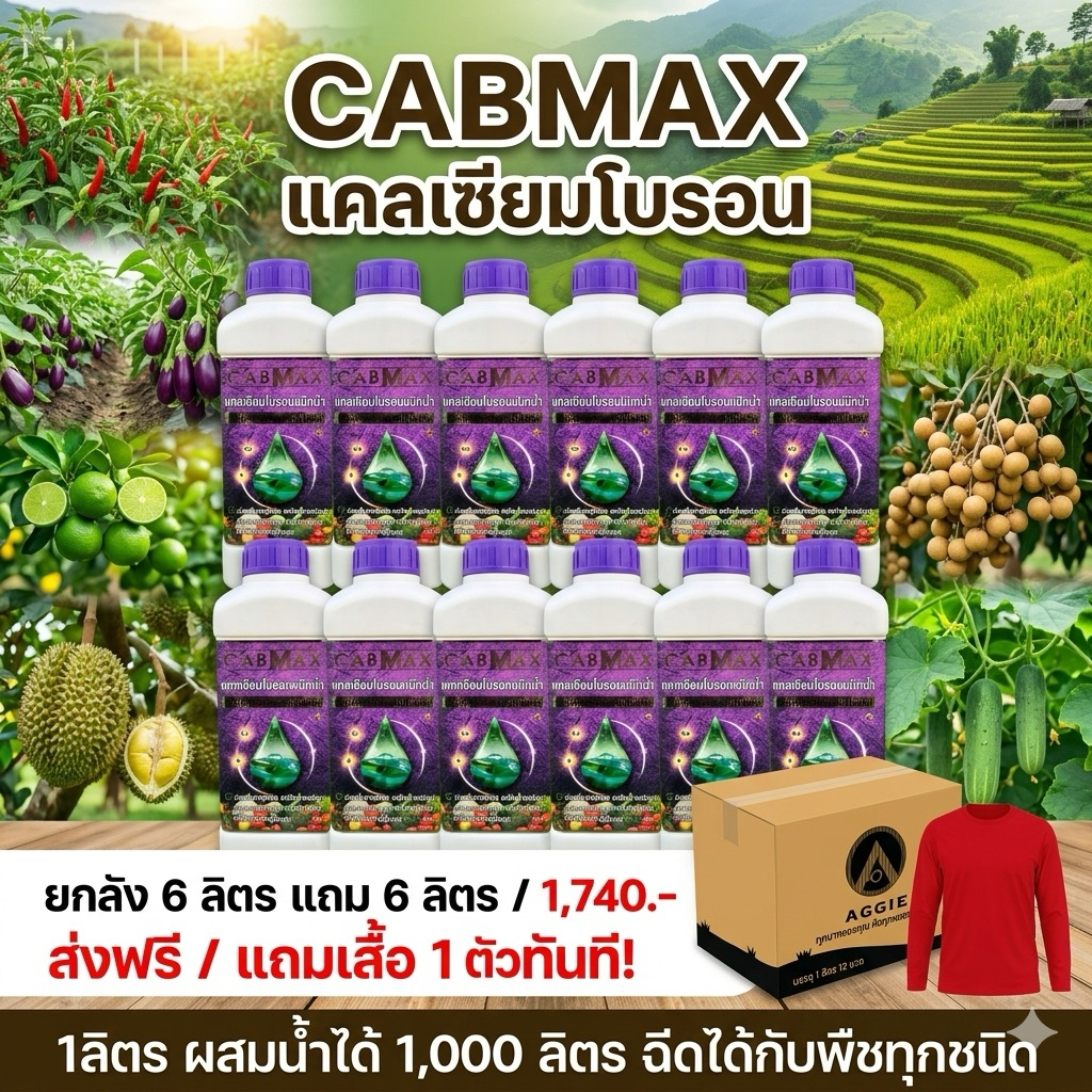 แคลเซียมโบรอน CABMAX 1 ลัง 12 ลิตร แถมเสื้อ 1 ตัว (C12+เสื้อ)