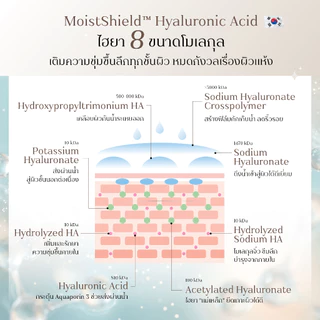 Terre Delicate Feminine Wash เทอร์เร่ เดลิเคต เฟมินีน วอช สูตรอ่อนโยน สำหรับจุดซ่อนเร้น 200 มล.